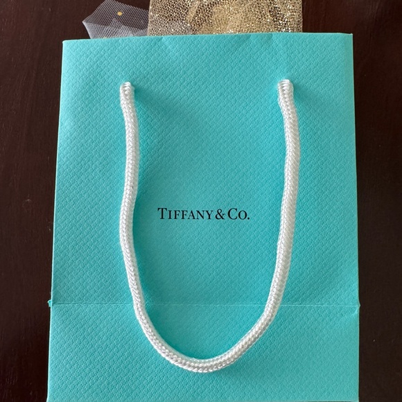 Tiffany 16inch 2 Heart necklace